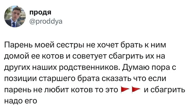 Сбагрить надо парня, а не котов