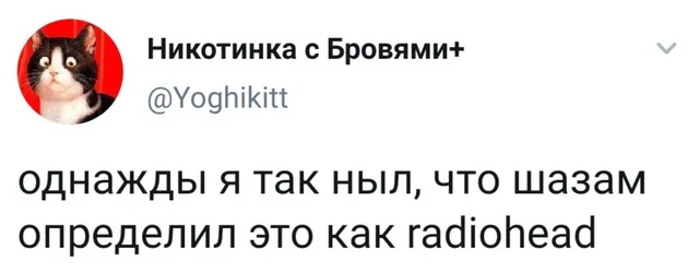Статичное изображение текста твита. — автор поста с ником @Yoghikitt
