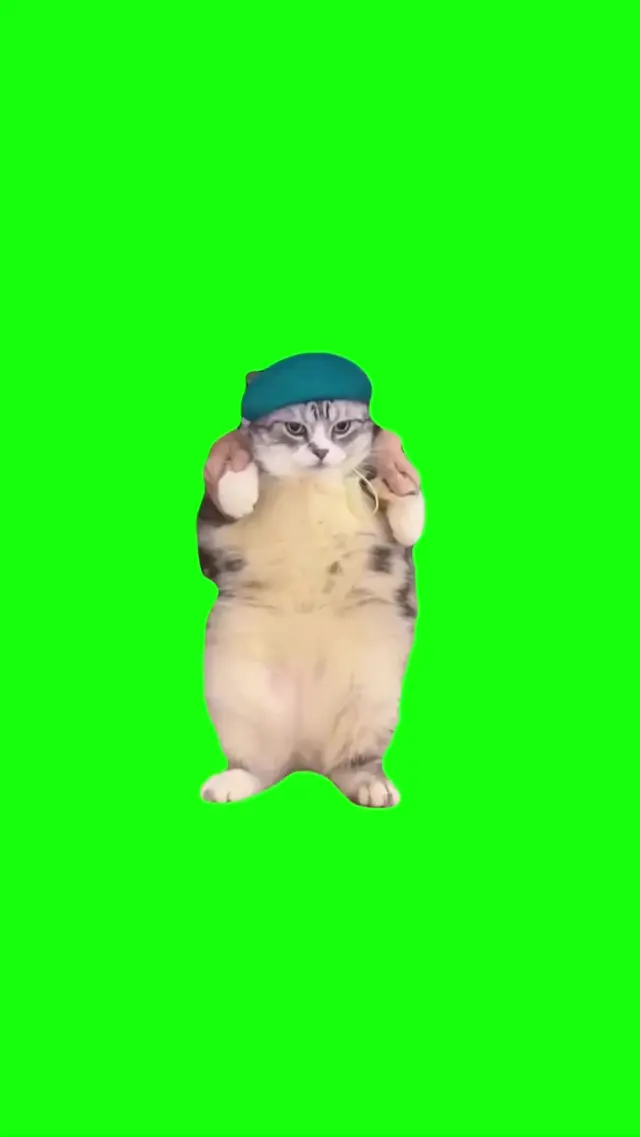 Танцующий кот в кепке на зеленом фоне