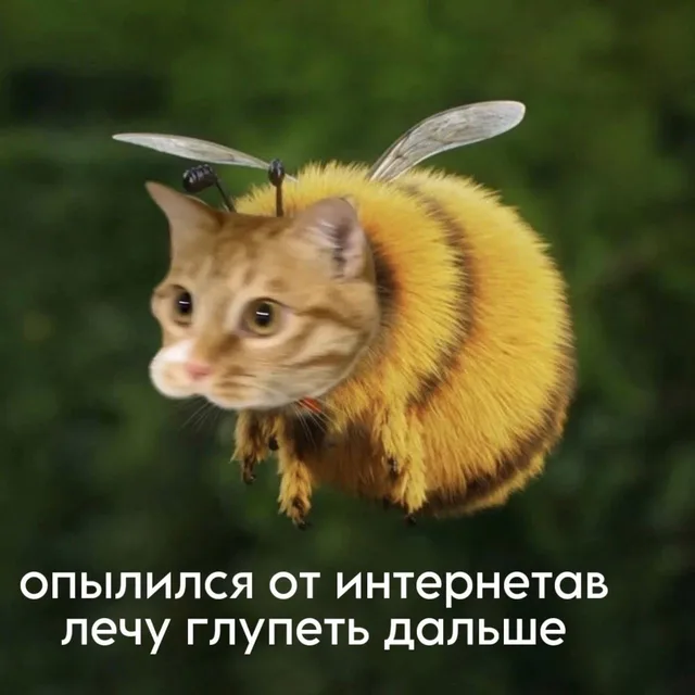 Опылился от интернетов, лечу глупеть дальше