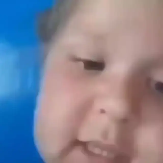 Я девочка, я хочу вина с сыром