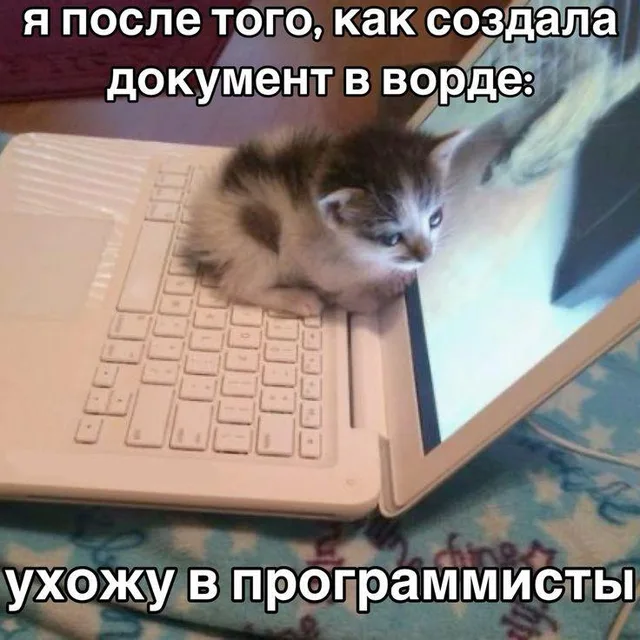 Я после создания документа в ворде