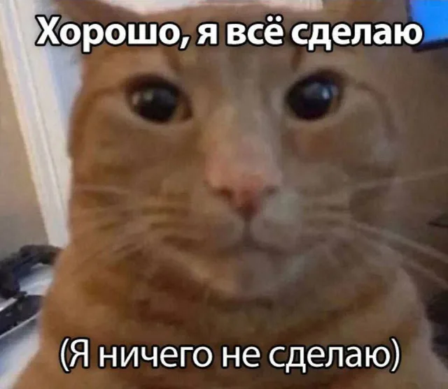 Хорошо, я всё сделаю (нет)
