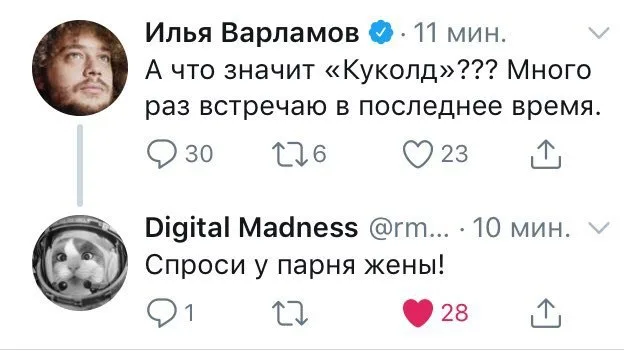 Скриншот переписки в Твиттере: сверху вопрос Ильи Варламова о значении слова, снизу дерзкий ответ с подтекстом