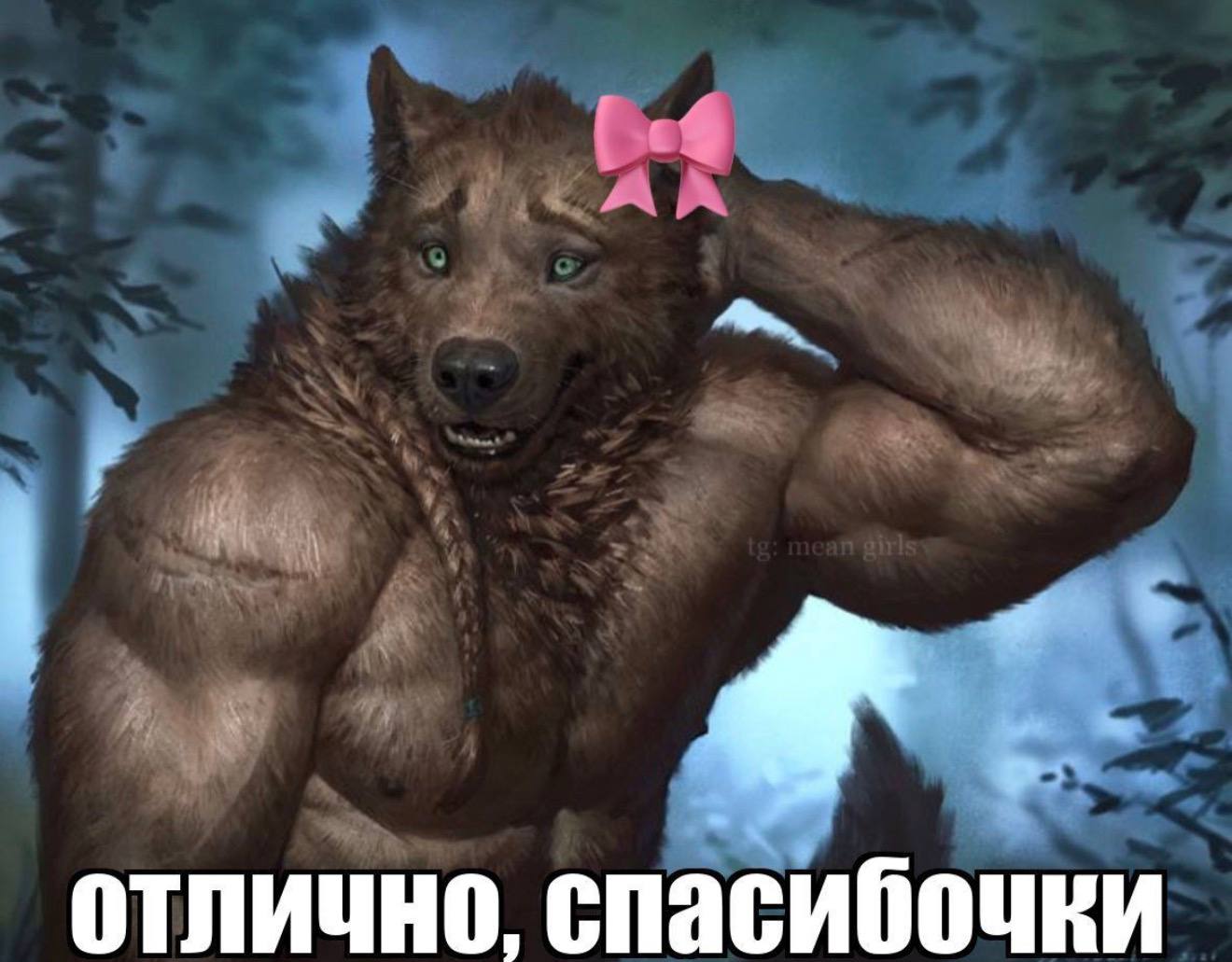 отлично, спасибочки