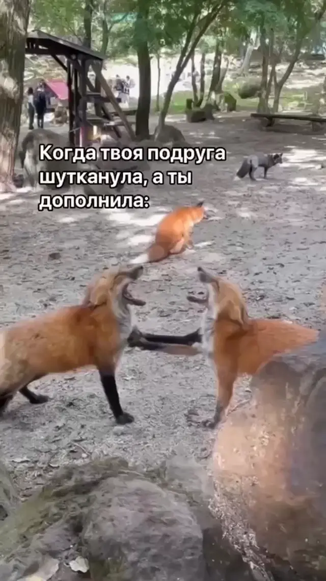 Когда твоя подруга шутканула, а ты дополнила