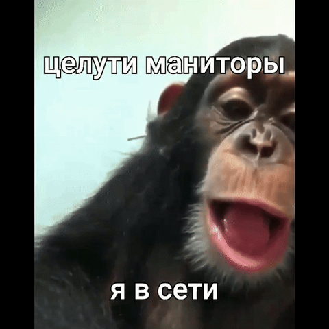 целути маниторы я в сети