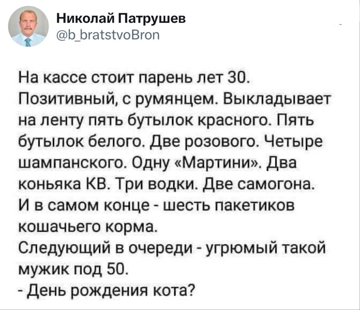 День рождения кота
