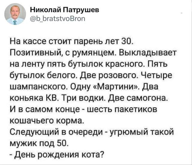 День рождения кота