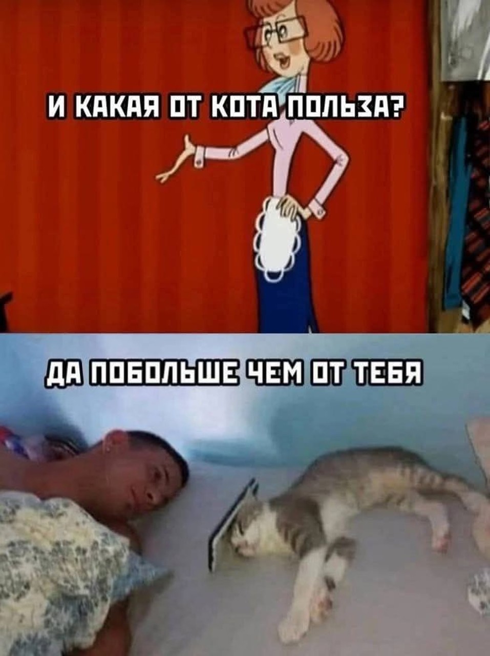 Польза кота против претензий