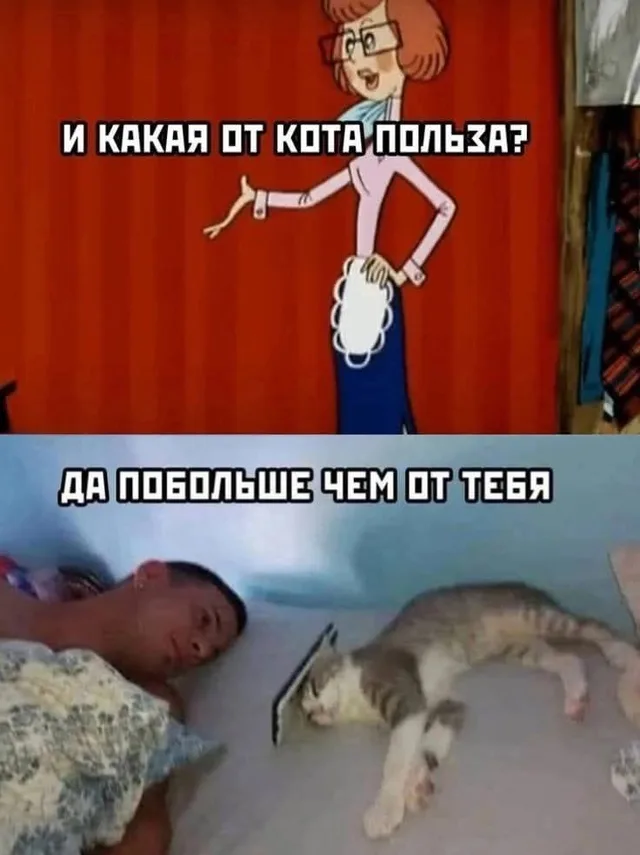 Женщина задает вопрос, на который следует ответ в виде спящего рядом с человеком кота. — женщина из мультфильма, мужчина в кровати, кот