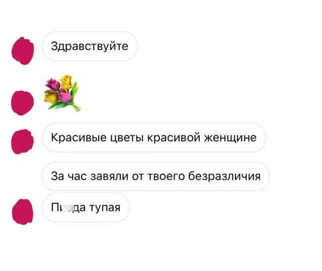 Собеседник сначала проявляет вежливость и делает комплимент, а затем резко переходит к оскорблениям из-за отсутствия ответа. — автор сообщен