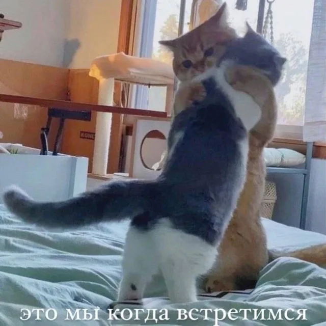 Это мы когда встретимся