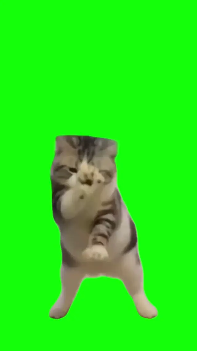 Танцующий кот Чипи Чипи Чапа Чапа