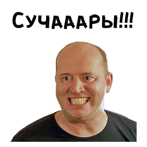 СУЧАААРЫ!!!
