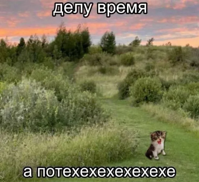 Статичная картинка с мемовым текстом сверху и снизу — маленький взъерошенный кот