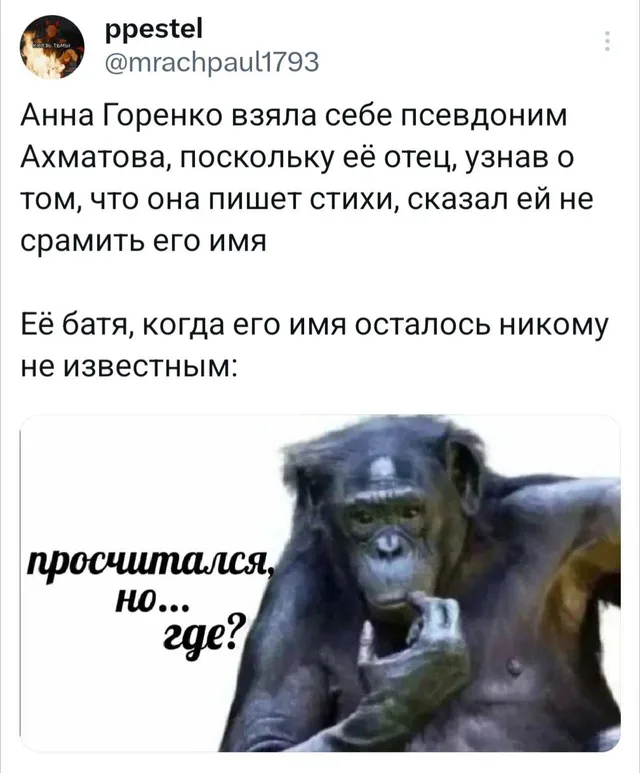 Статичное изображение, текст твита расположен над картинкой с обезьяной. — Грогу, Анна Ахматова