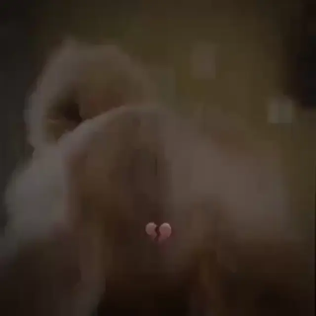 Пикабу Бушидо Хэллоуин