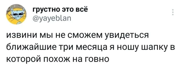 Скриншот твита с текстом на белом фоне — автор твита с аватаркой кота в очках