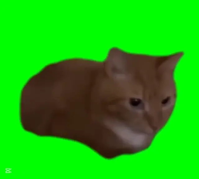 Танцующий рыжий кот на зеленом фоне