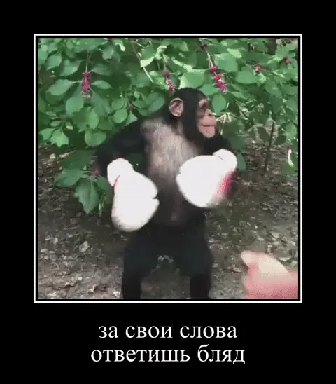 За свои слова ответишь бляд