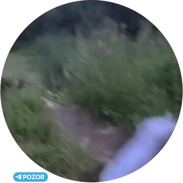 Мужик прыгнул в болото