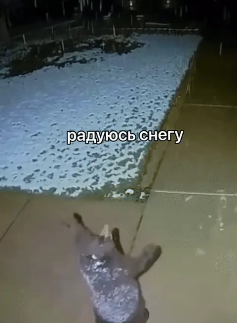 Радуюсь снегу и падаю