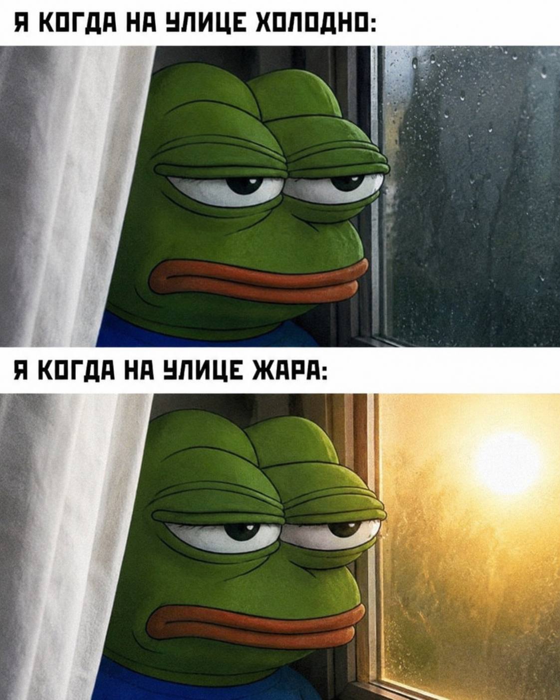 Пепе у окна в любую погоду