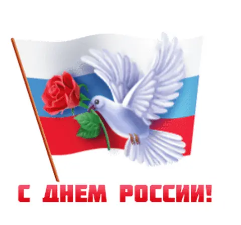 С Днем России! Голубь с розой