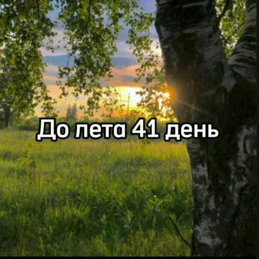 Обратный отсчет до лета