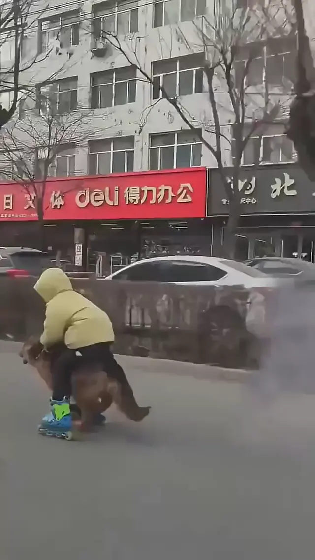 Пацан на роликах верхом на овчарке