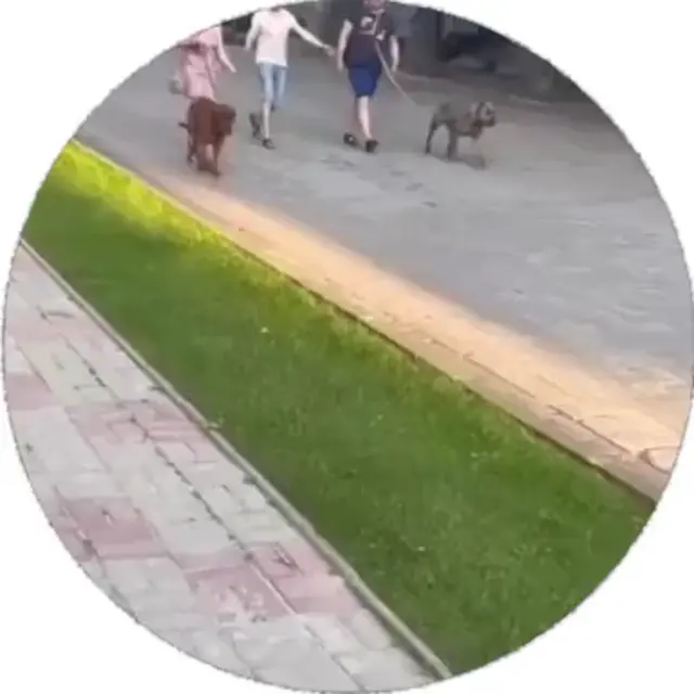 Держите своего зверя крепче