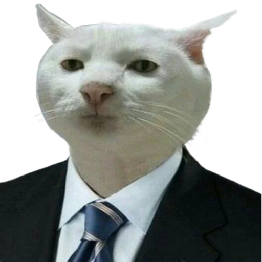ΠΠΎΡ-Π±ΠΈΠ·Π½Π΅ΡΠΌΠ΅Π½ Π² Π΄Π΅Π»Π΅