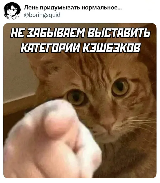 Не забываем выставить категории кэшбэков