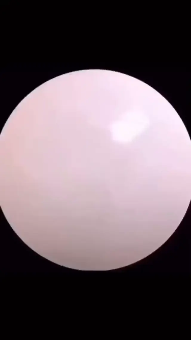 Танцующий енот Педро