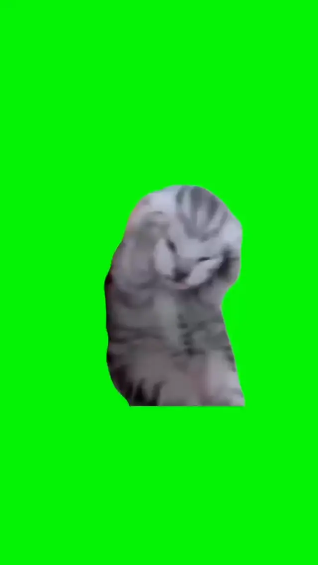 Кричащий котенок держится за голову на зеленом фоне