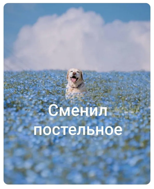 Сменил постельное белье