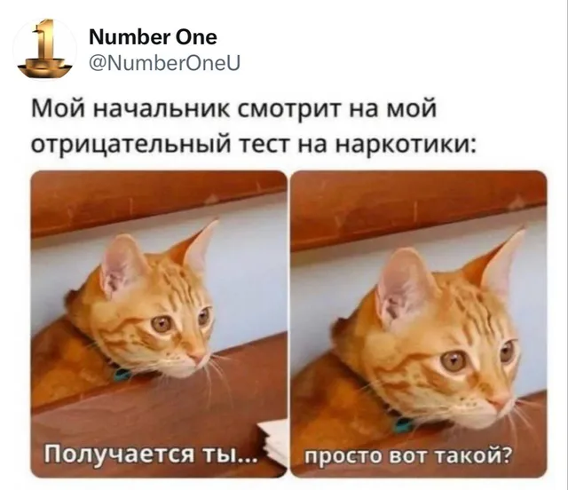 Получается ты просто вот такой?