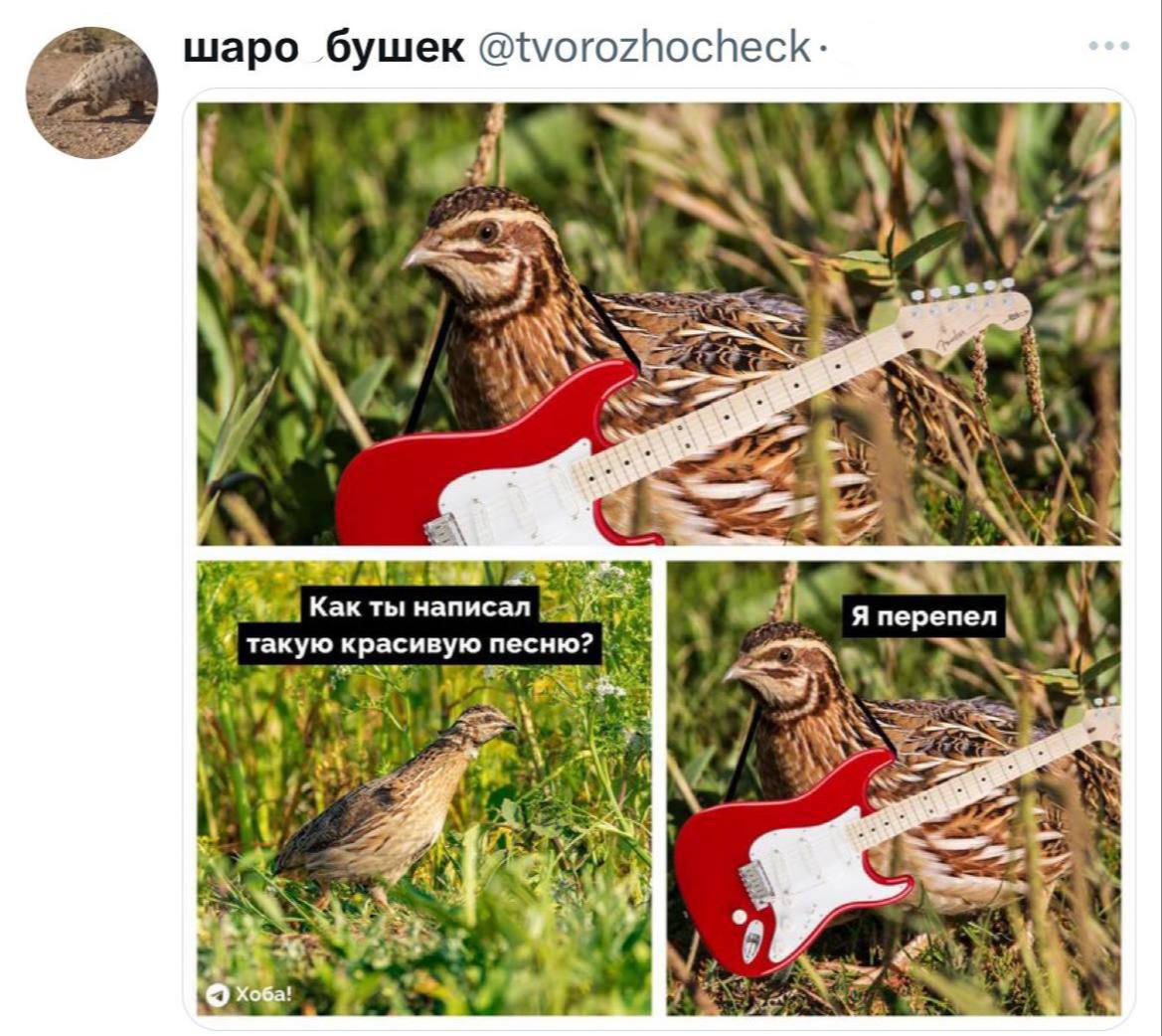 Я перепел