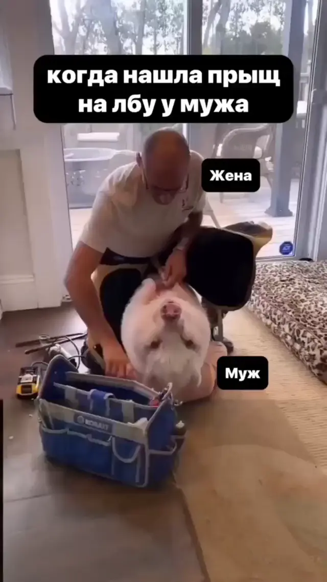 Когда нашла прыщ на лбу у мужа