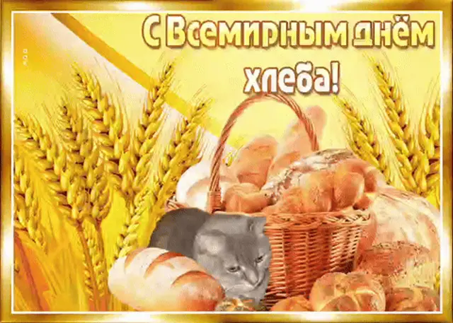 Анимированная открытка с колосьями и хлебом, поверх которой наложен кот — серый кот