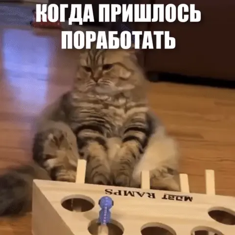 Когда пришлось поработать