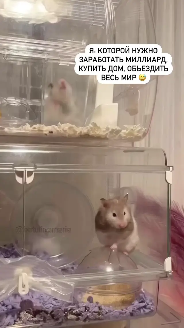 Грандиозные планы vs реальность