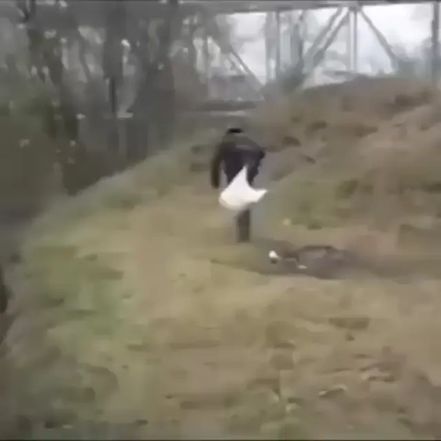 Неудачный прыжок в воду с пакетом