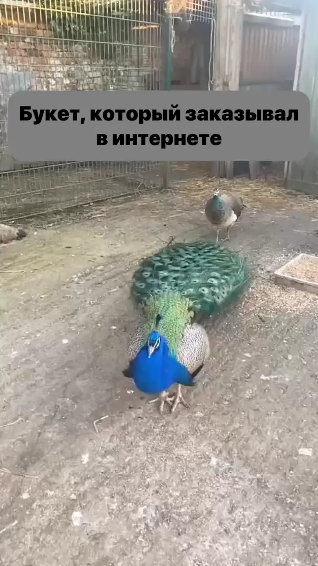 Ожидание и реальность при заказе букета