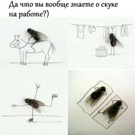 Статичное изображение, демонстрирующее творческое использование мертвых насекомых для создания сценок.
