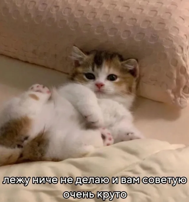 Лежу ниче не делаю и вам советую