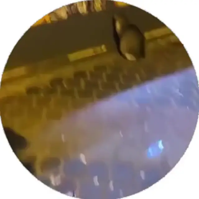 Ты была в самом лучшем платье