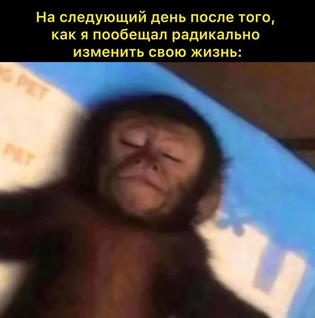 На следующий день после обещаний изменить жизнь