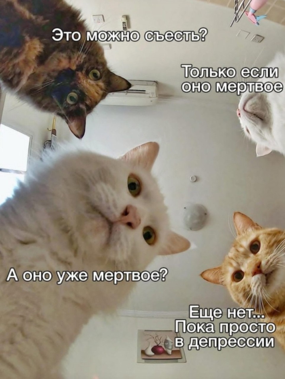 Пока просто в депрессии